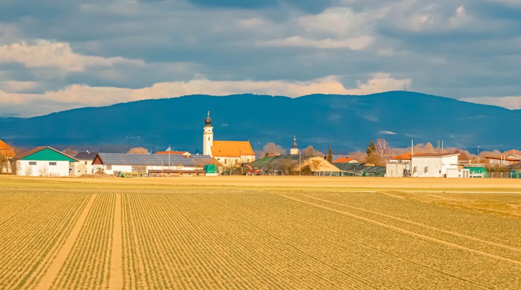 Spring landscape on a sunny day with Haardorf and the Bavarian Forest in the background seen from near Osterhofen, Deggendorf, Bavaria, Germany