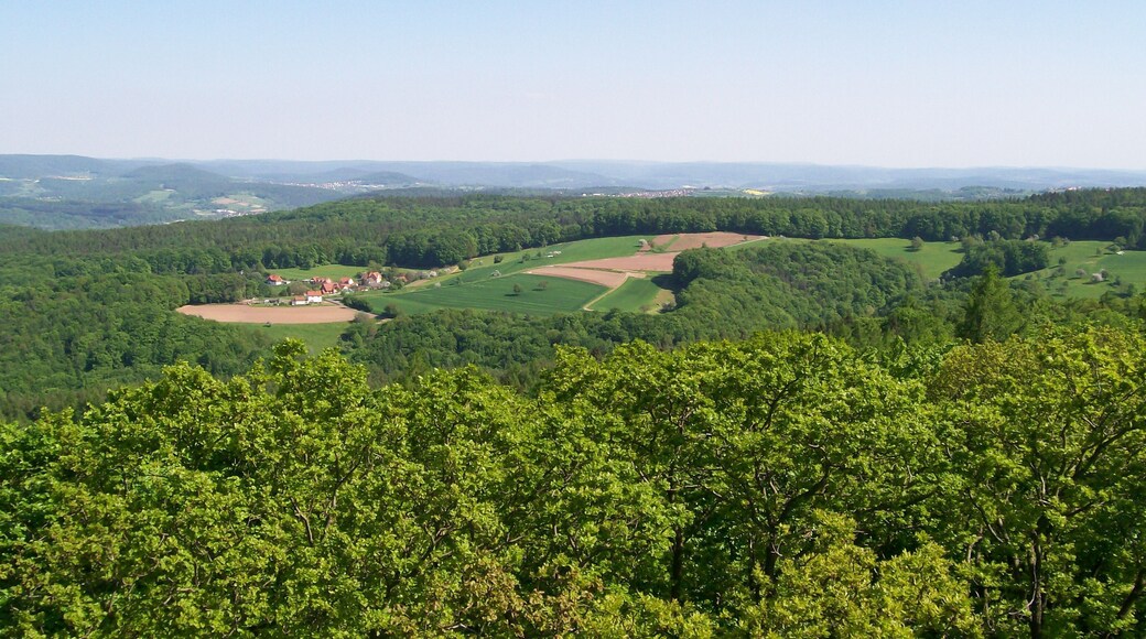 63755 Alzenau, Germany