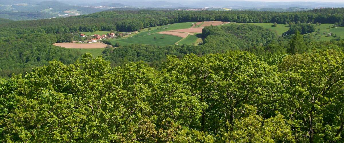 A lush green landscape with rolling hills, a small village, and distant mountains under a clear sky.