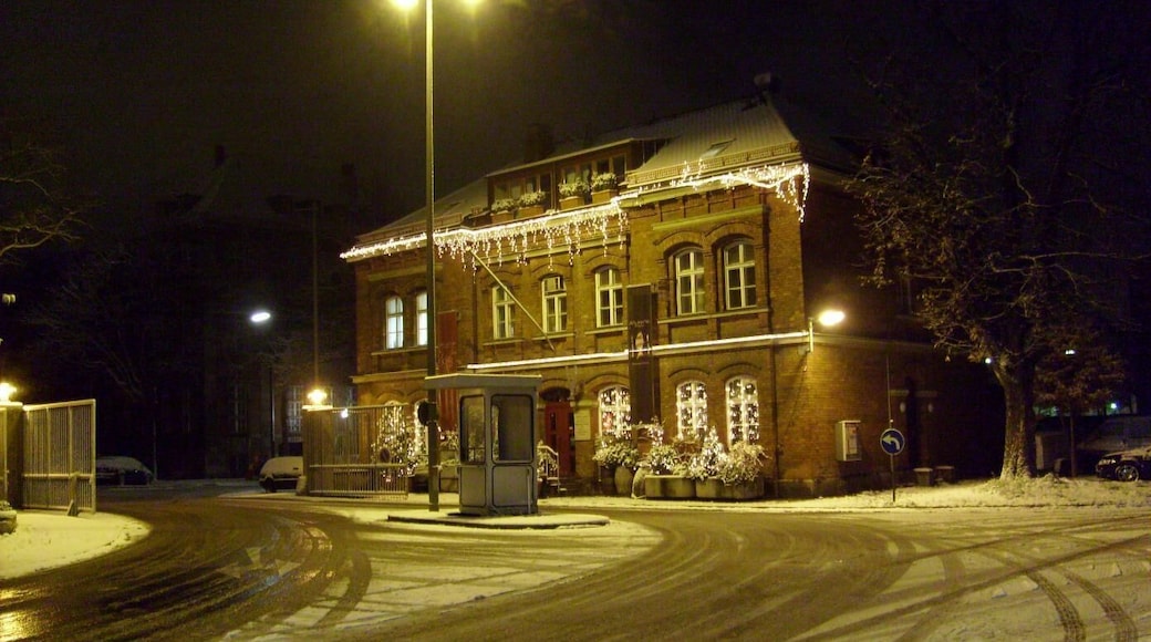 15.11.2007. _ Romantic _ München _ Schlachthof ( klaonica/vágohid)