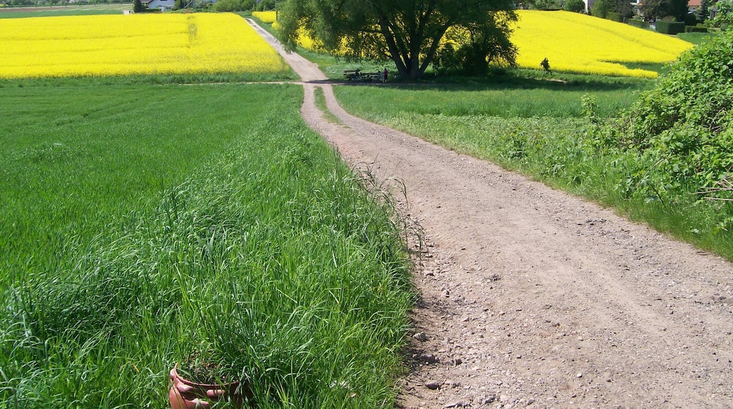 63755 Alzenau, Germany