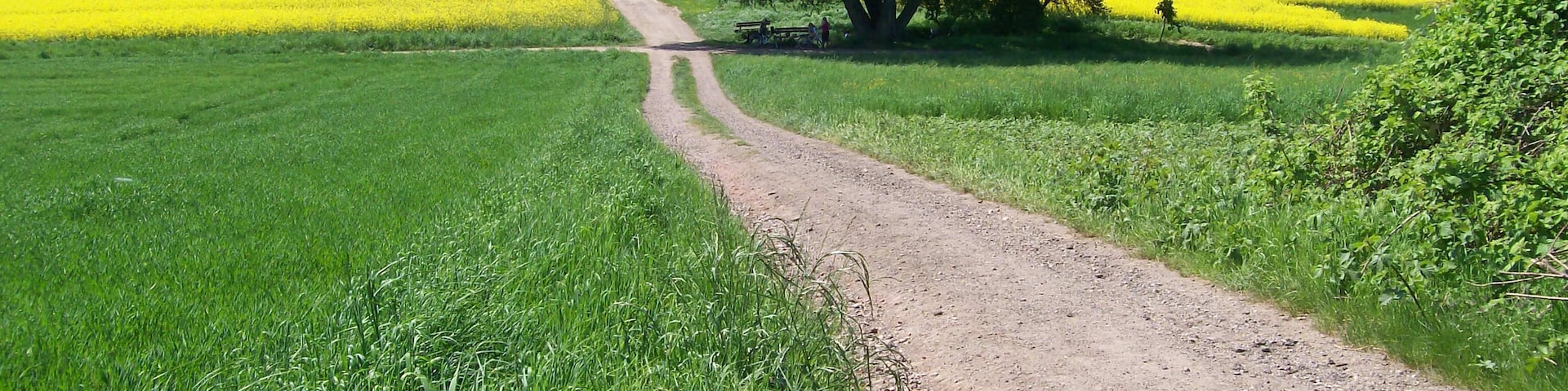 63755 Alzenau, Germany