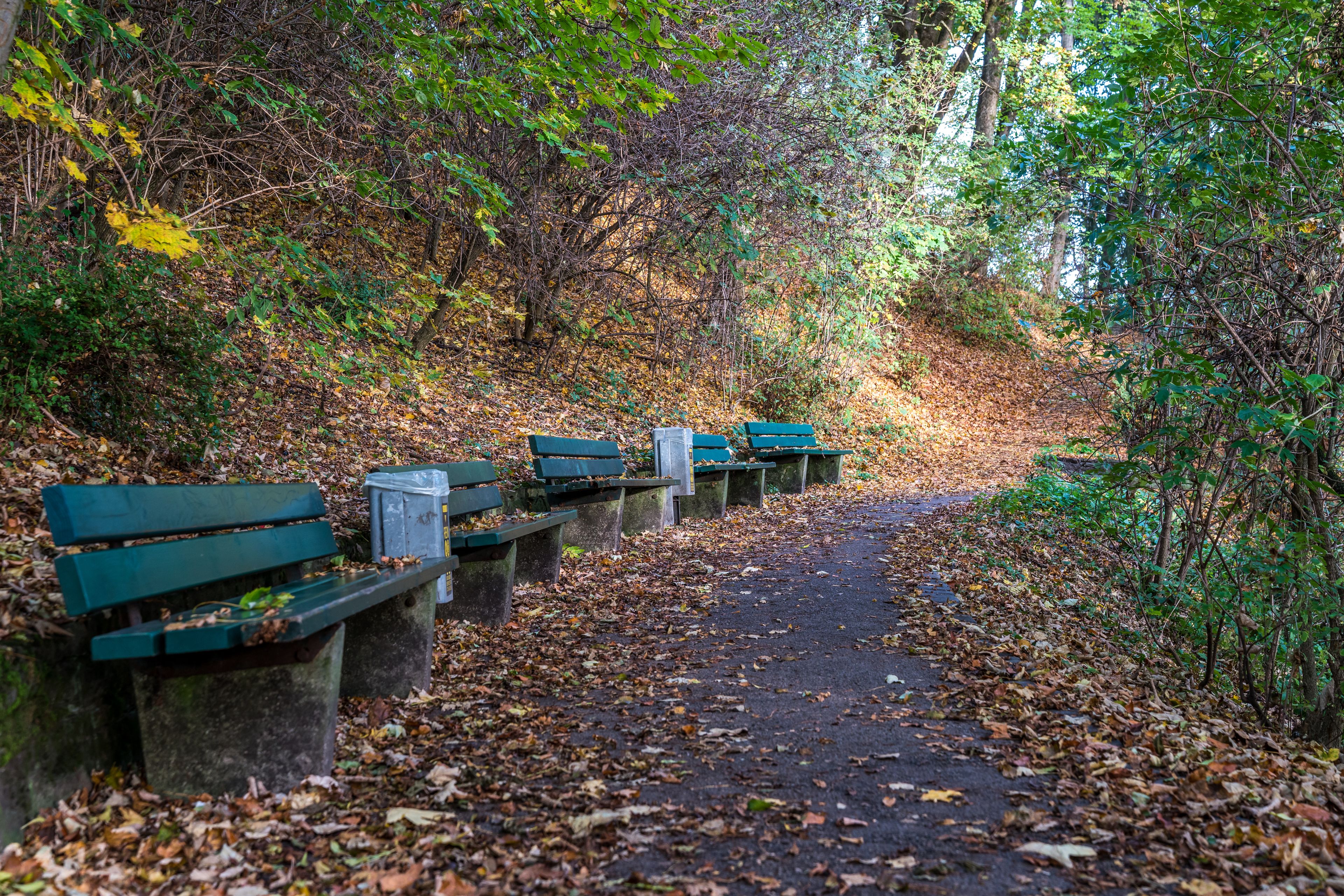 A pathway lined with green benches and concrete supports, surrounded by trees and fallen leaves.