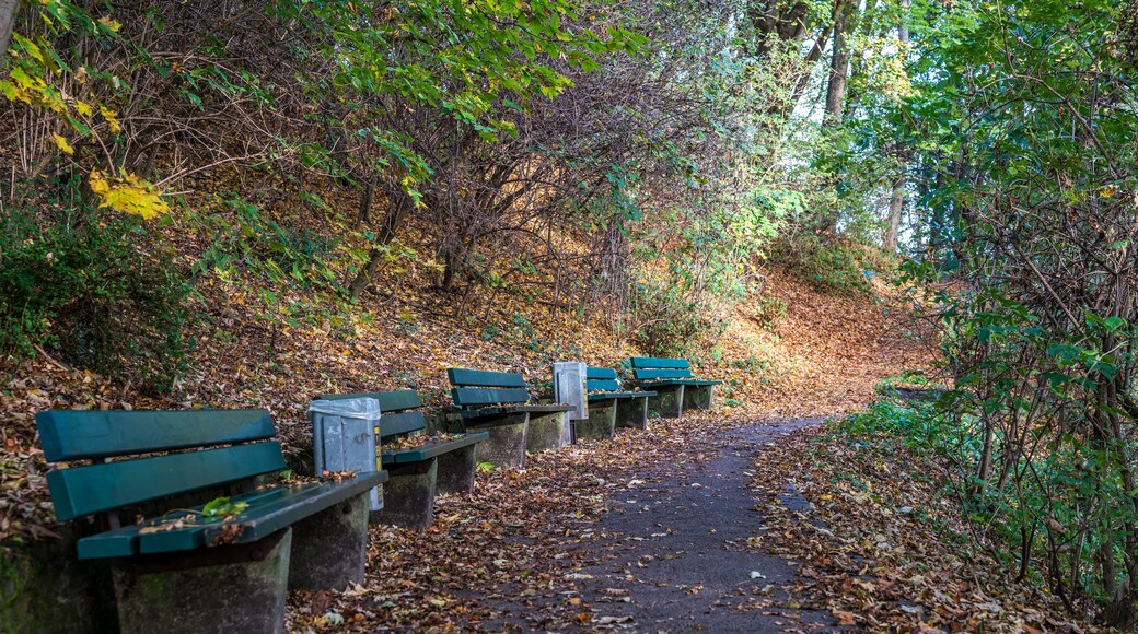 A pathway lined with green benches and concrete supports, surrounded by trees and fallen leaves.