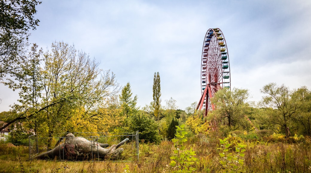 Ein Riesenrad, Bäume und ein eingezäunter Bereich mit einem umgestürzten Baum.