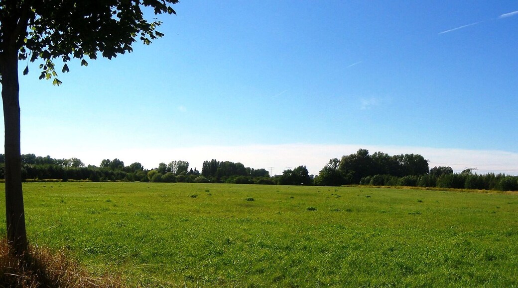 Panoramablick über die Wartenberger Feldmark in Berlin-Wartenberg