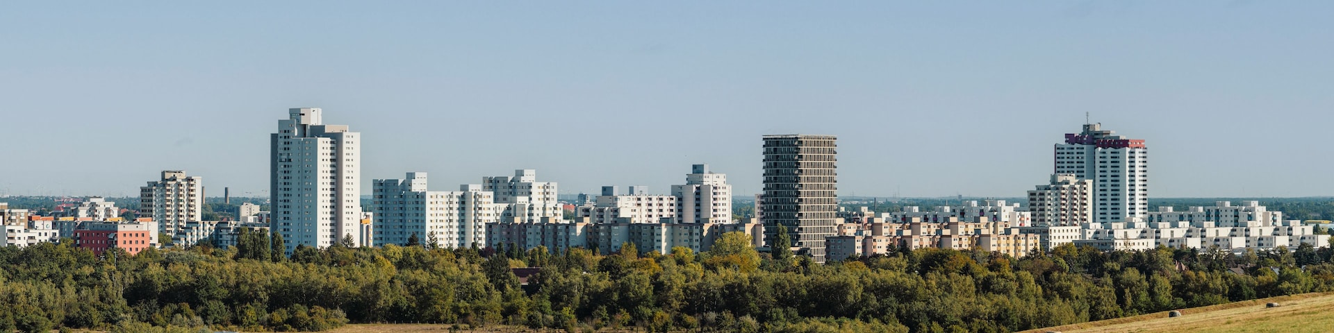 Un paysage urbain avec de hauts immeubles et une colline verdoyante parsemée d’arbres.