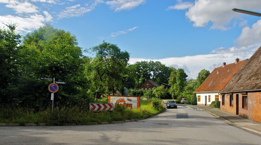 Hamburg (Rönneburg), Germany: Houses in the Vogteistraße