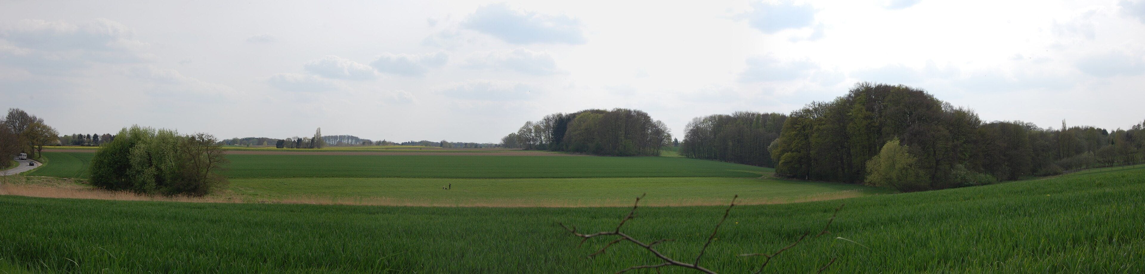 Blick über die Felder in Richtung Meckelfeld