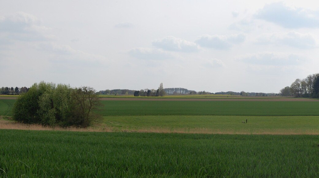 Blick über die Felder in Richtung Meckelfeld