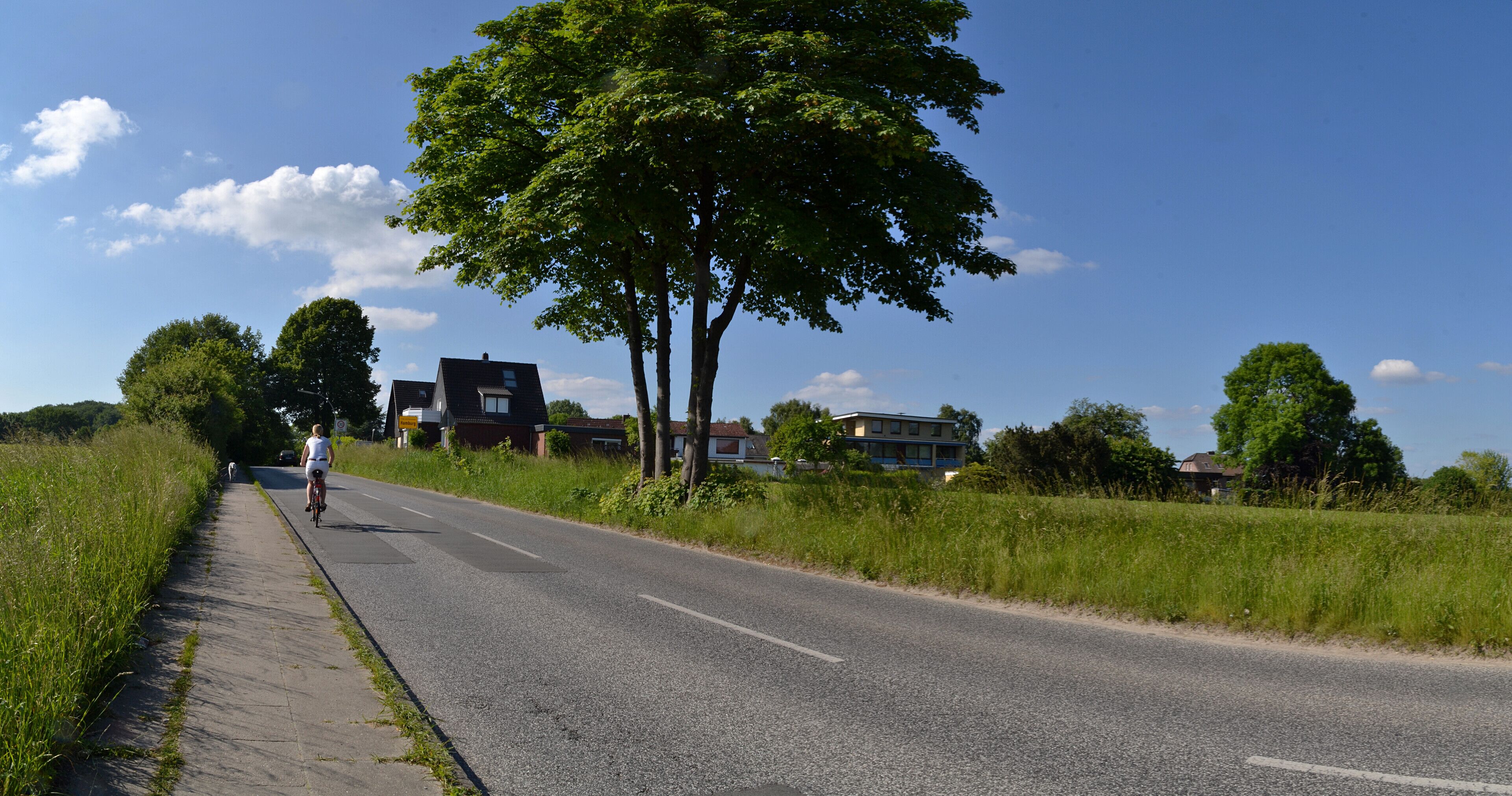 Sonnenschein am Sonntag