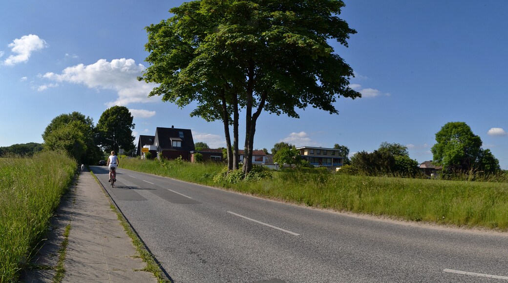 Sonnenschein am Sonntag