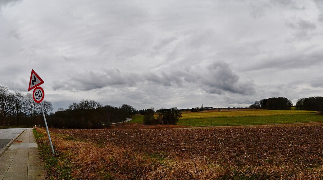 Wind Swept Fields