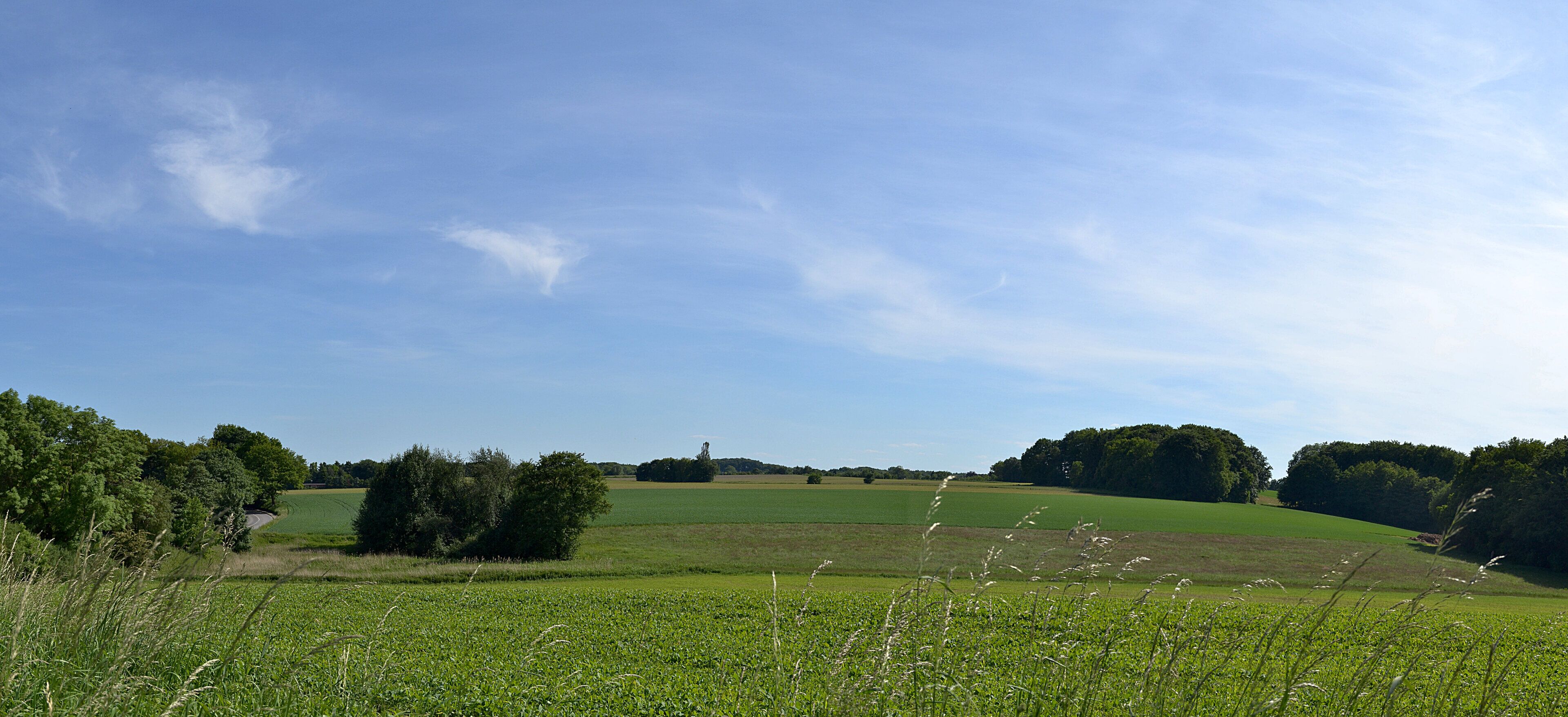 Zwischen Hamburg und Niedersachsen