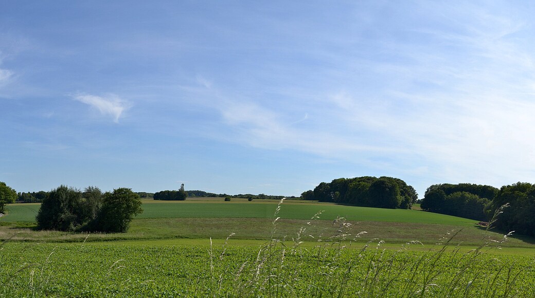 Zwischen Hamburg und Niedersachsen