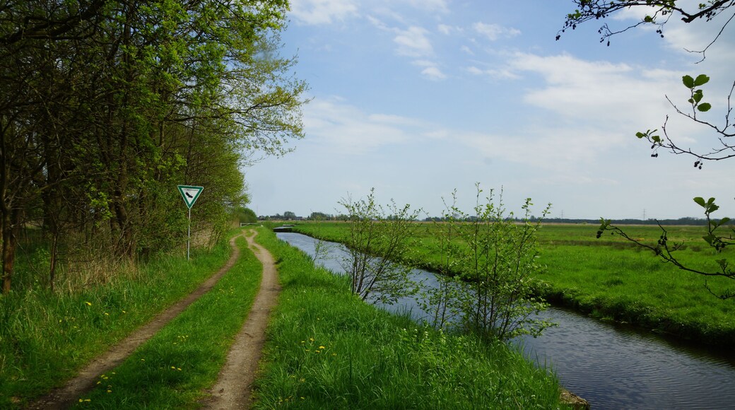 Hamburg (Neuland), Germany: The Fünfhausener-Landweg-Canal and the Fünfhausener-Landweg