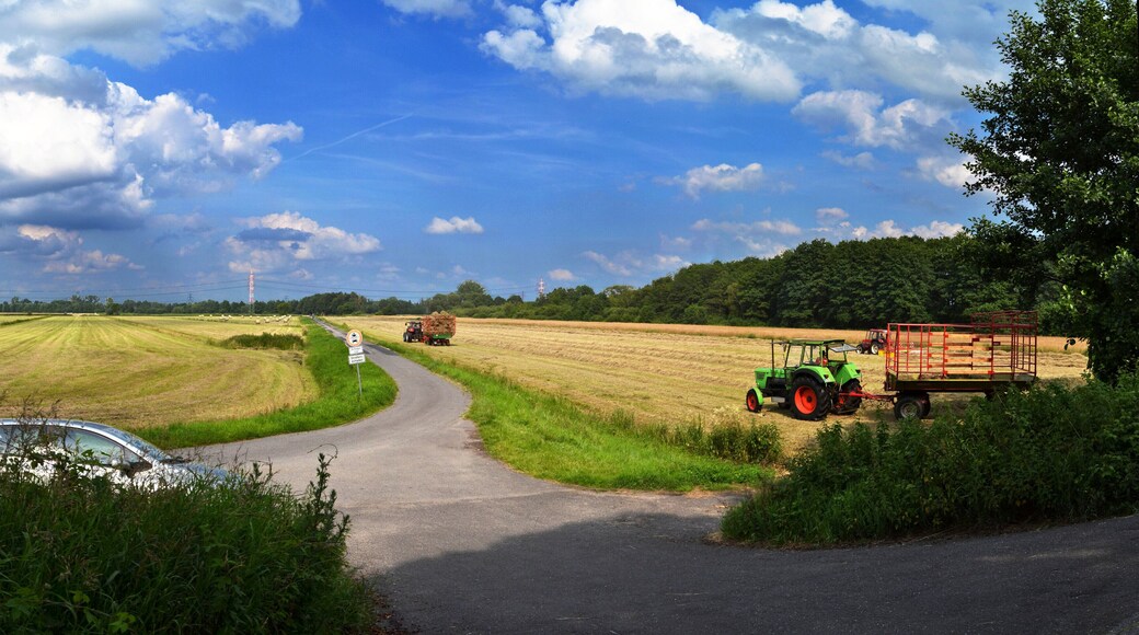 Harburg, Hamburg, Germany