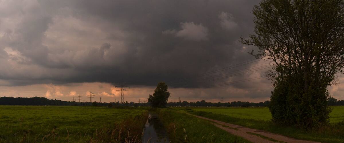 Rain