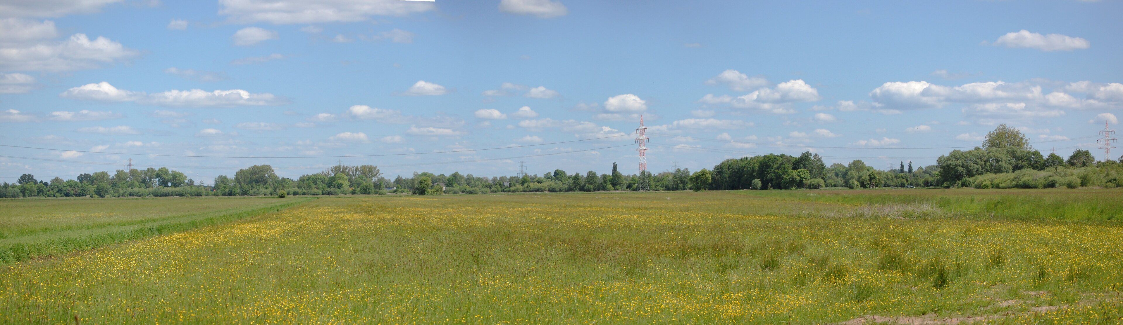 Blick vom Seevekanal Richtung Gutmoor