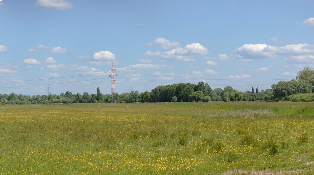 Blick vom Seevekanal Richtung Gutmoor