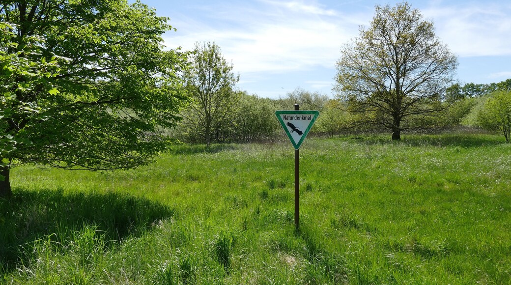 Mit dem Naturdenkmal Bullenmoor (ND-H 079) wird ein Niedermoor geschützt. Allerdings fiel der hohe Grundwasserspiegel den Entwässerungsmaßnahmen, die mehr Nutzland schaffen sollten, zum Opfer. Die Organisation der Naturfreunde versucht, das Bullenmoor und seine Umgebung zu renaturieren.