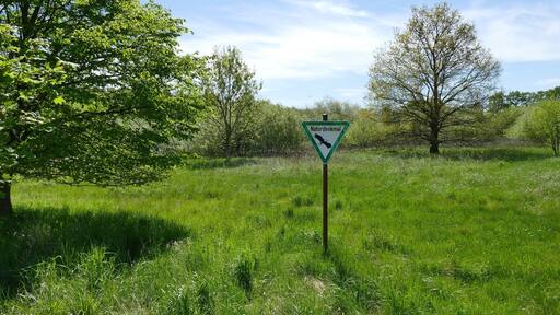 Mit dem Naturdenkmal Bullenmoor (ND-H 079) wird ein Niedermoor geschĂŒtzt. Allerdings fiel der hohe Grundwasserspiegel den EntwĂ€sserungsmaĂnahmen, die mehr Nutzland schaffen sollten, zum Opfer. Die Organisation der Naturfreunde versucht, das Bullenmoor und seine Umgebung zu renaturieren.