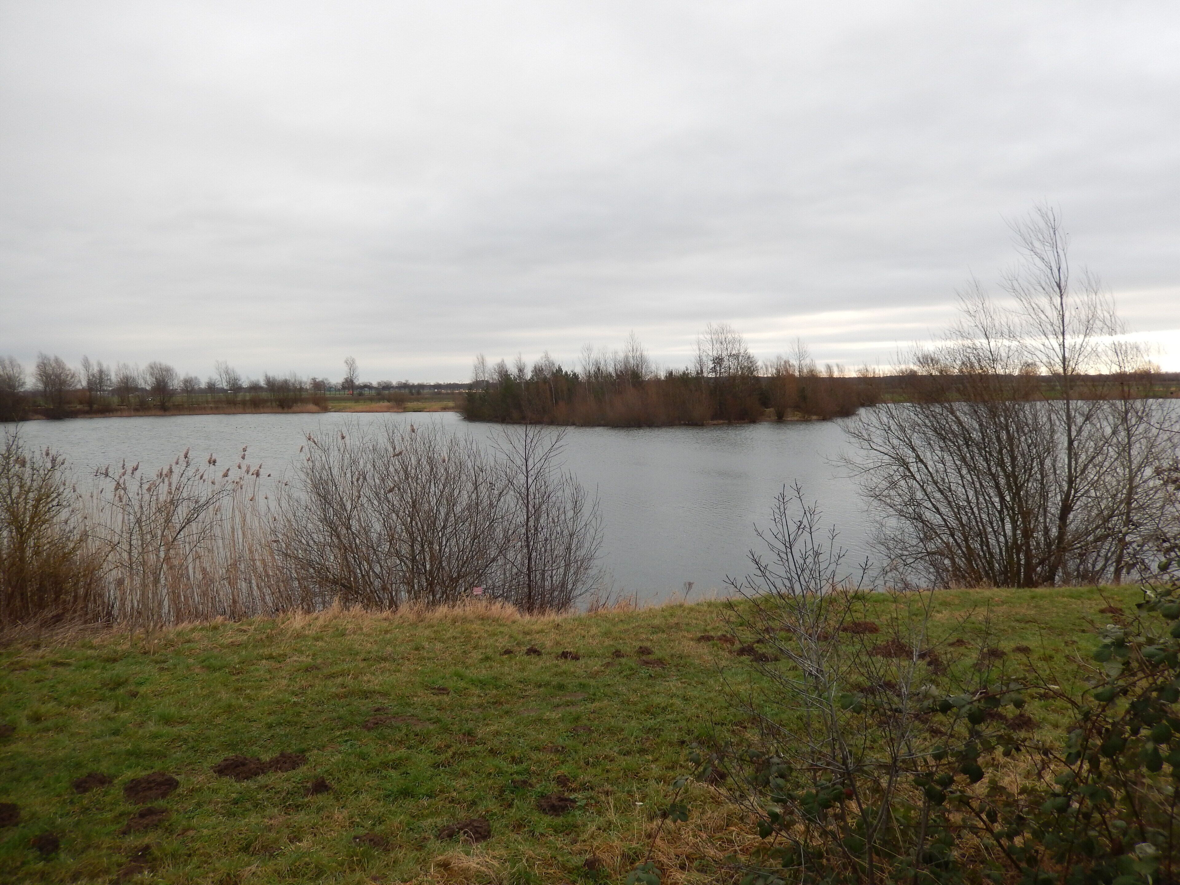 Immenser See bei Lehrte