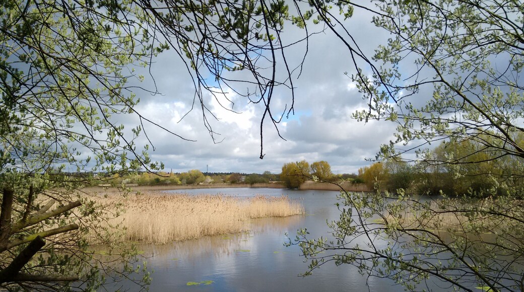 Clarification pools of ancient Lehrte (Germany) sugar refinery