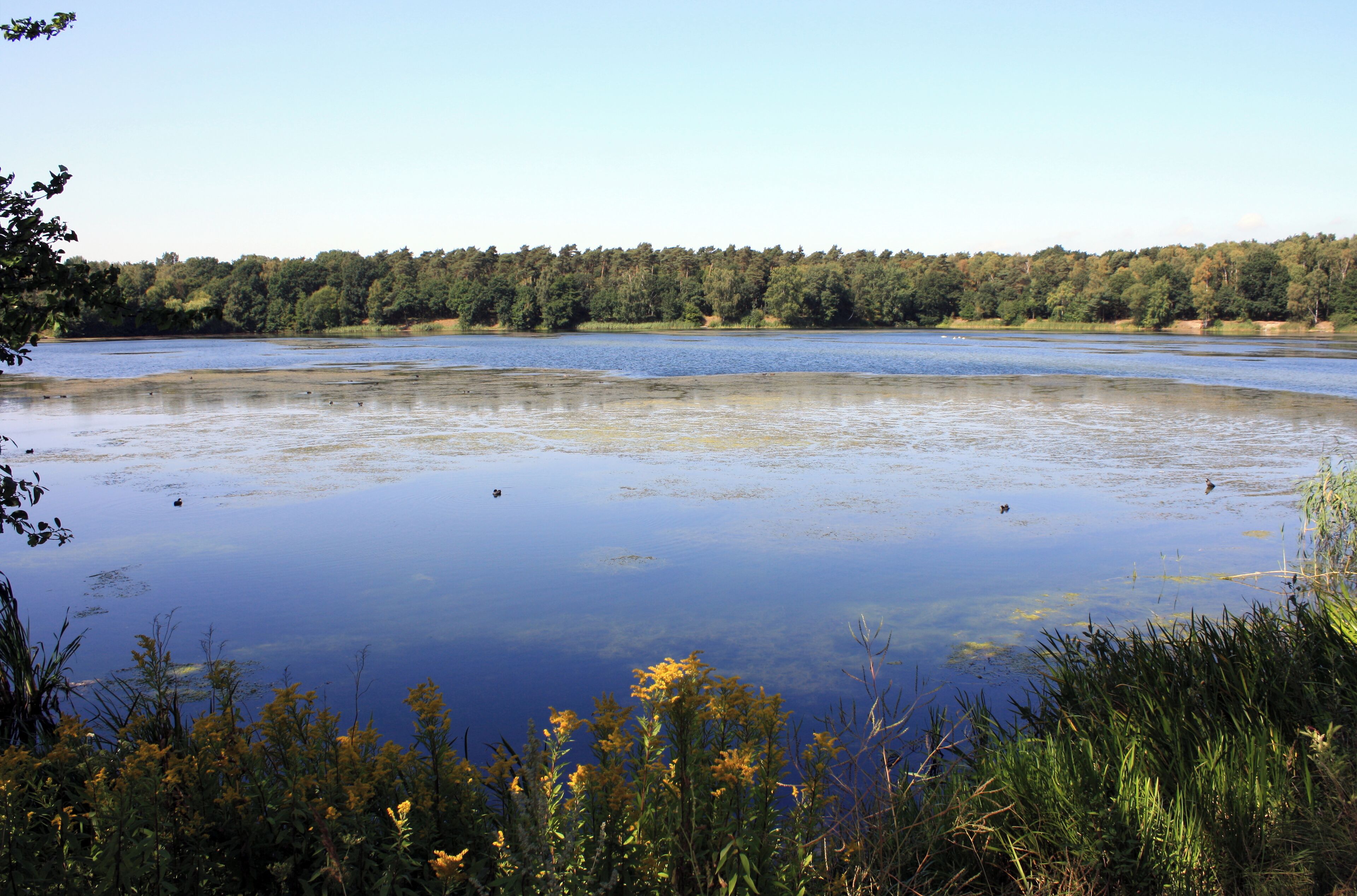 The "Blaue See" ("Blue Lake") near Ahlten/Lehrte