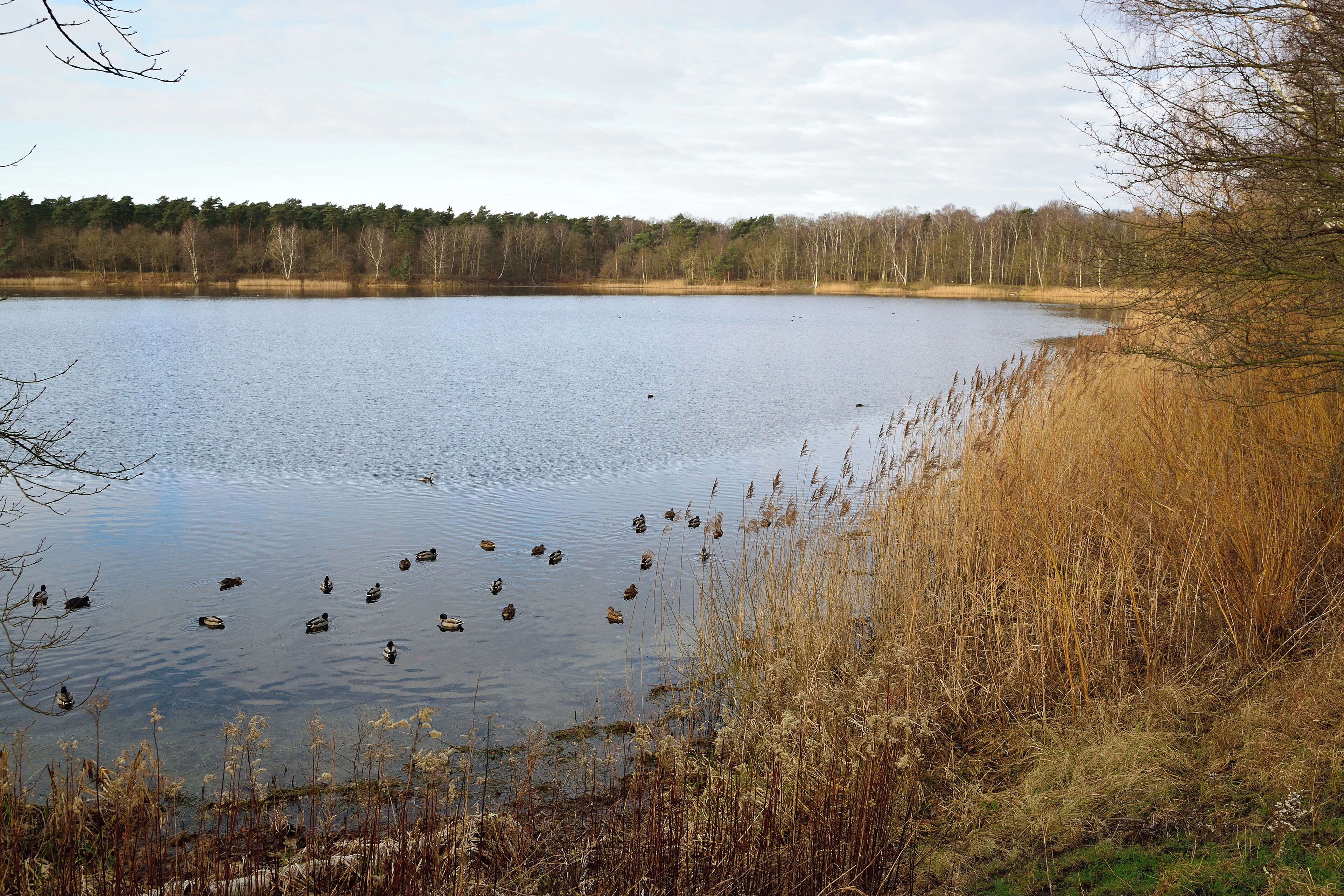 The "Blaue See" near Ahlten/Lehrte