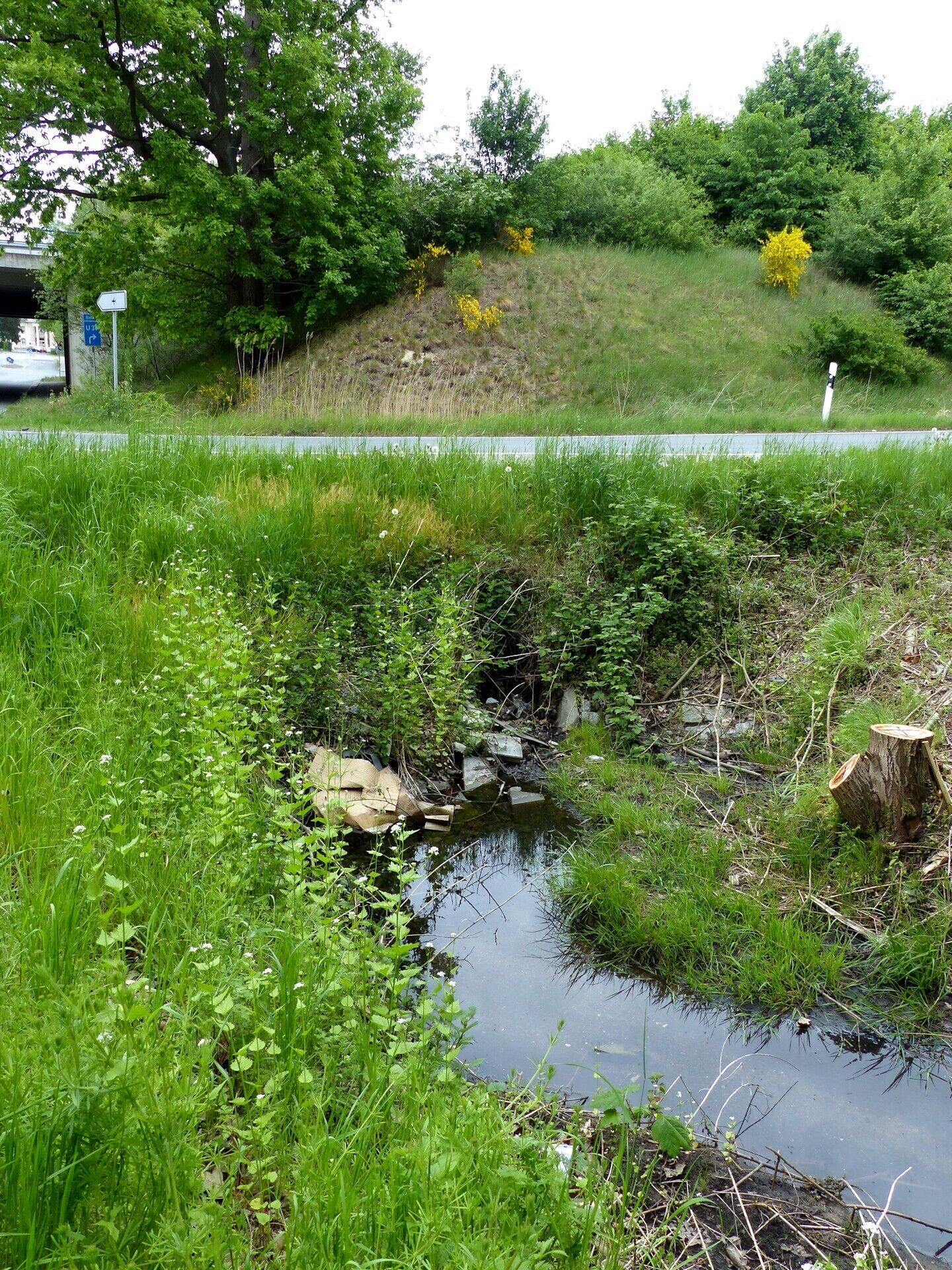 Quellsituation des östlichen Zulaufs der Kehrbeeke am nördlichen Waldrand des Querumer Forst am Uhlenbusch, im Hintergrund die Autobahn A2.