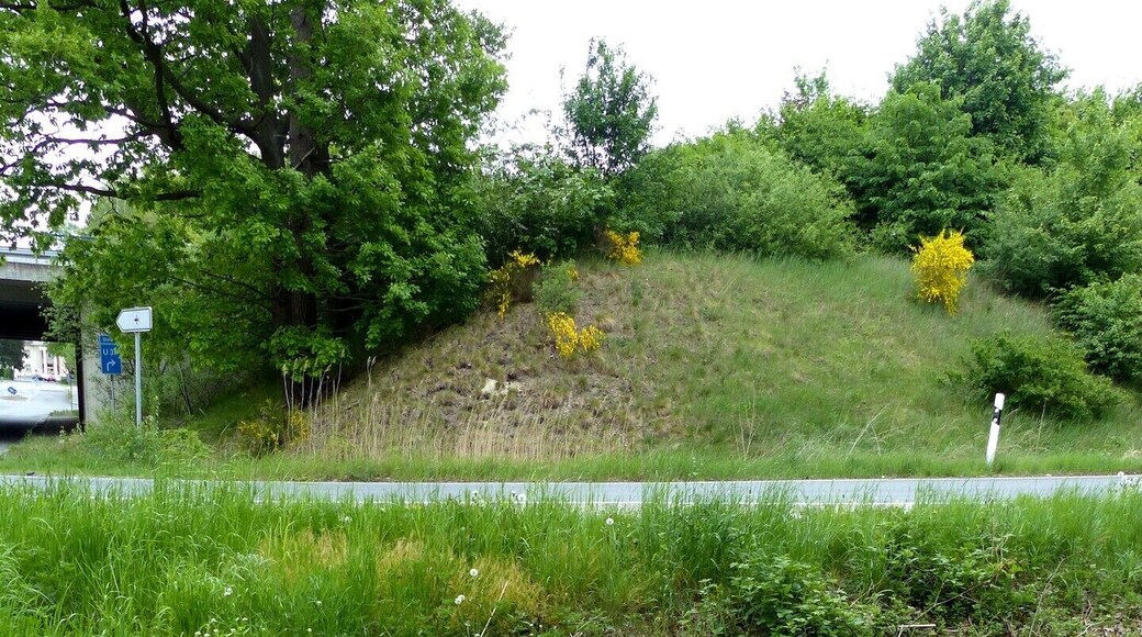 Quellsituation des östlichen Zulaufs der Kehrbeeke am nördlichen Waldrand des Querumer Forst am Uhlenbusch, im Hintergrund die Autobahn A2.