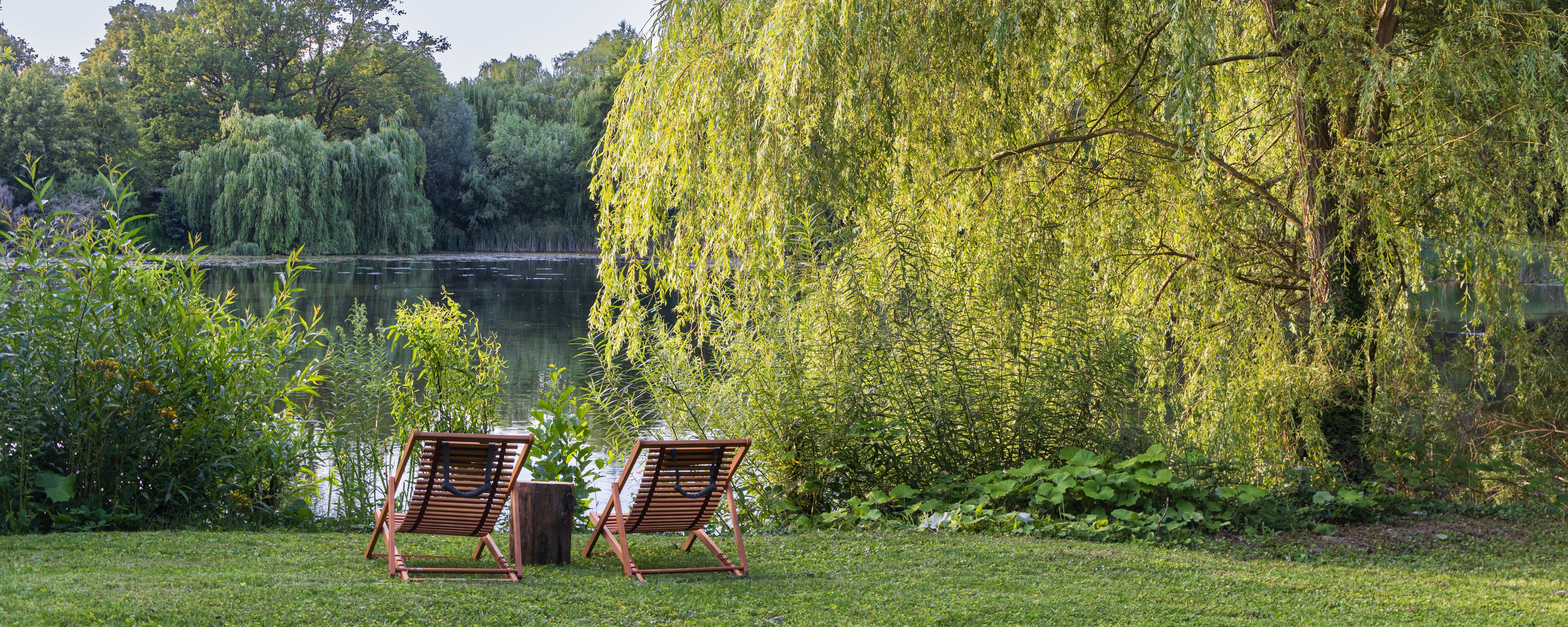 A serene lakeside setting with two wooden chairs and a weeping willow tree.