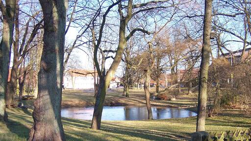 The Lehrte-Aligse pond from south-west
