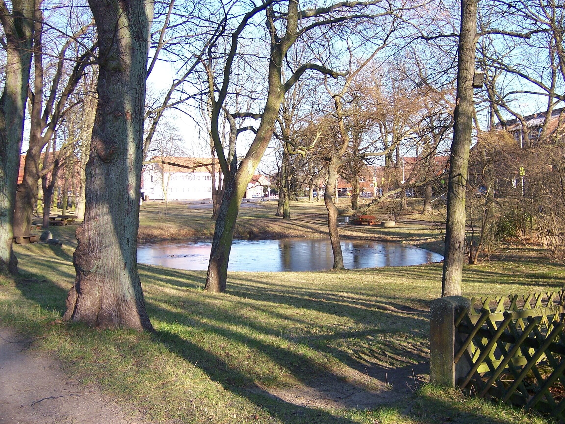A park with a pond, trees, and a fence.
