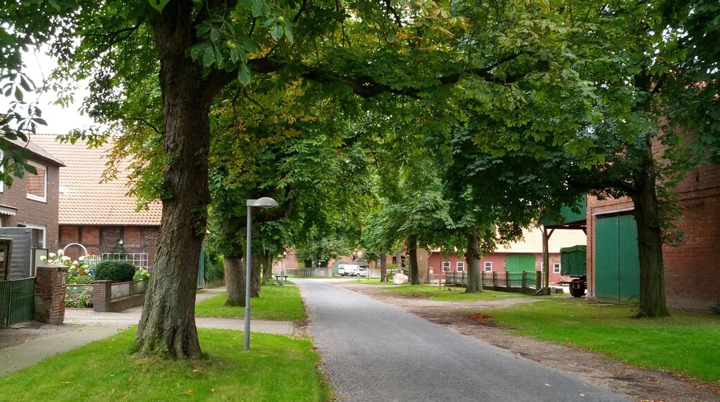 Röddensen, Dorfstraße