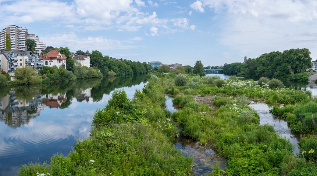 Ruhr River Panorama with Green Floodplain Island viewed from Kassenbergbrücke in Mülheim an der Ruhr