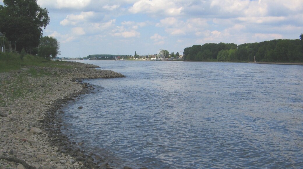 Rip Rap structures at river Rhine. Graurheindorf (Bonn), Germany