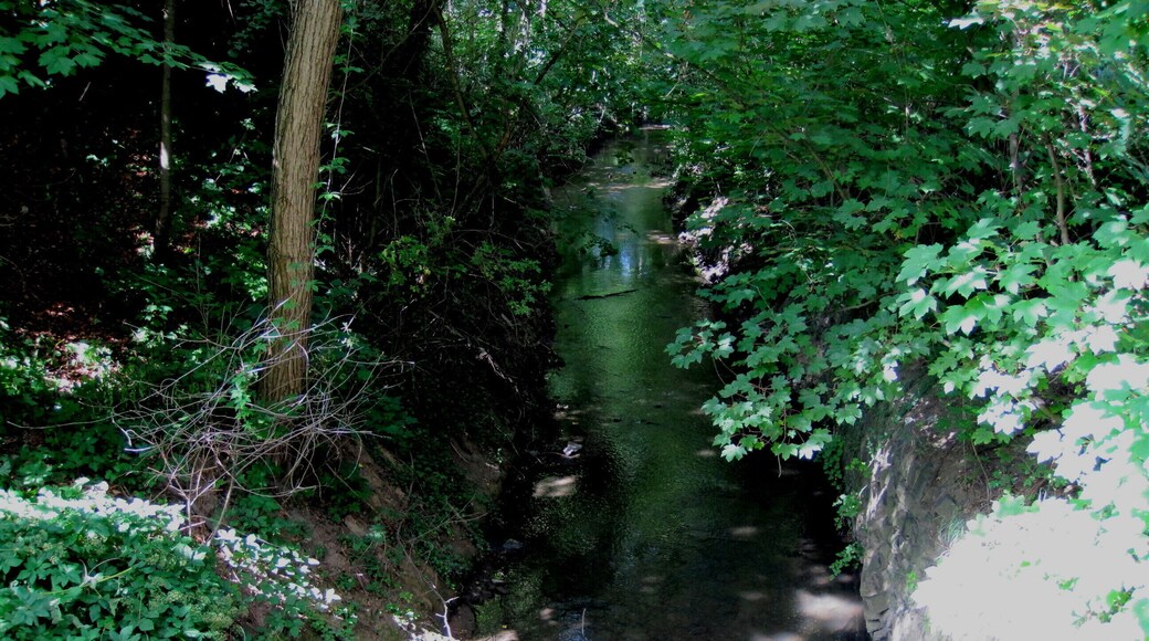 Rheindorfer Bach vor Unterquerung der Estermannstraße, Bonn.