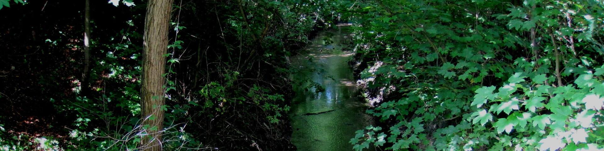 Rheindorfer Bach vor Unterquerung der Estermannstraße, Bonn.