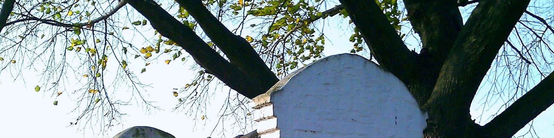 Kapelle St. Dionysius zwischen Serm und Mündelheim