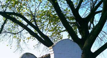 Kapelle St. Dionysius zwischen Serm und Mรผndelheim