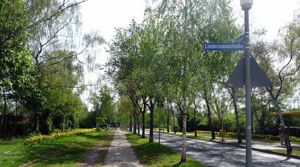 2010-04-27 - Oberhausen – Rehmer - Lindermannstraße