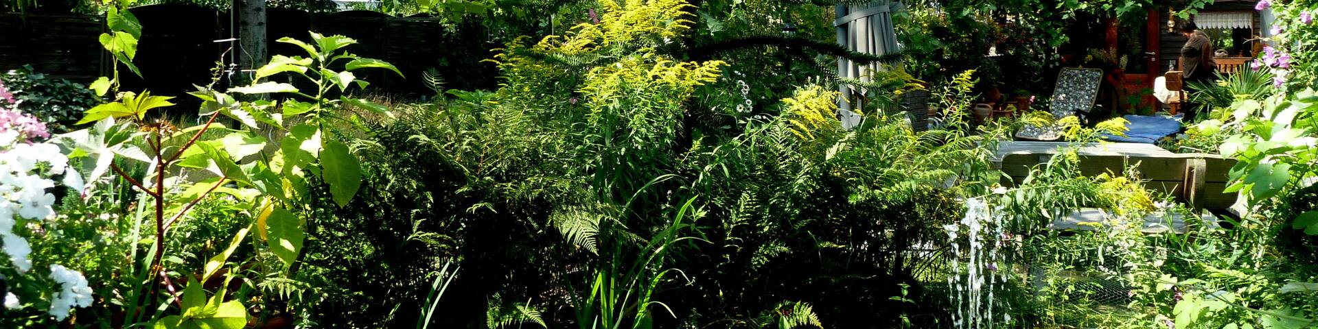 Sommer in OB-Alstaden