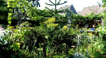 Sommer in OB-Alstaden