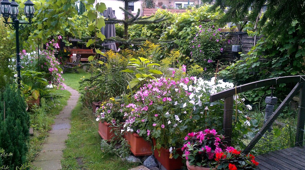 OB-Alstaden – Sommer 2011