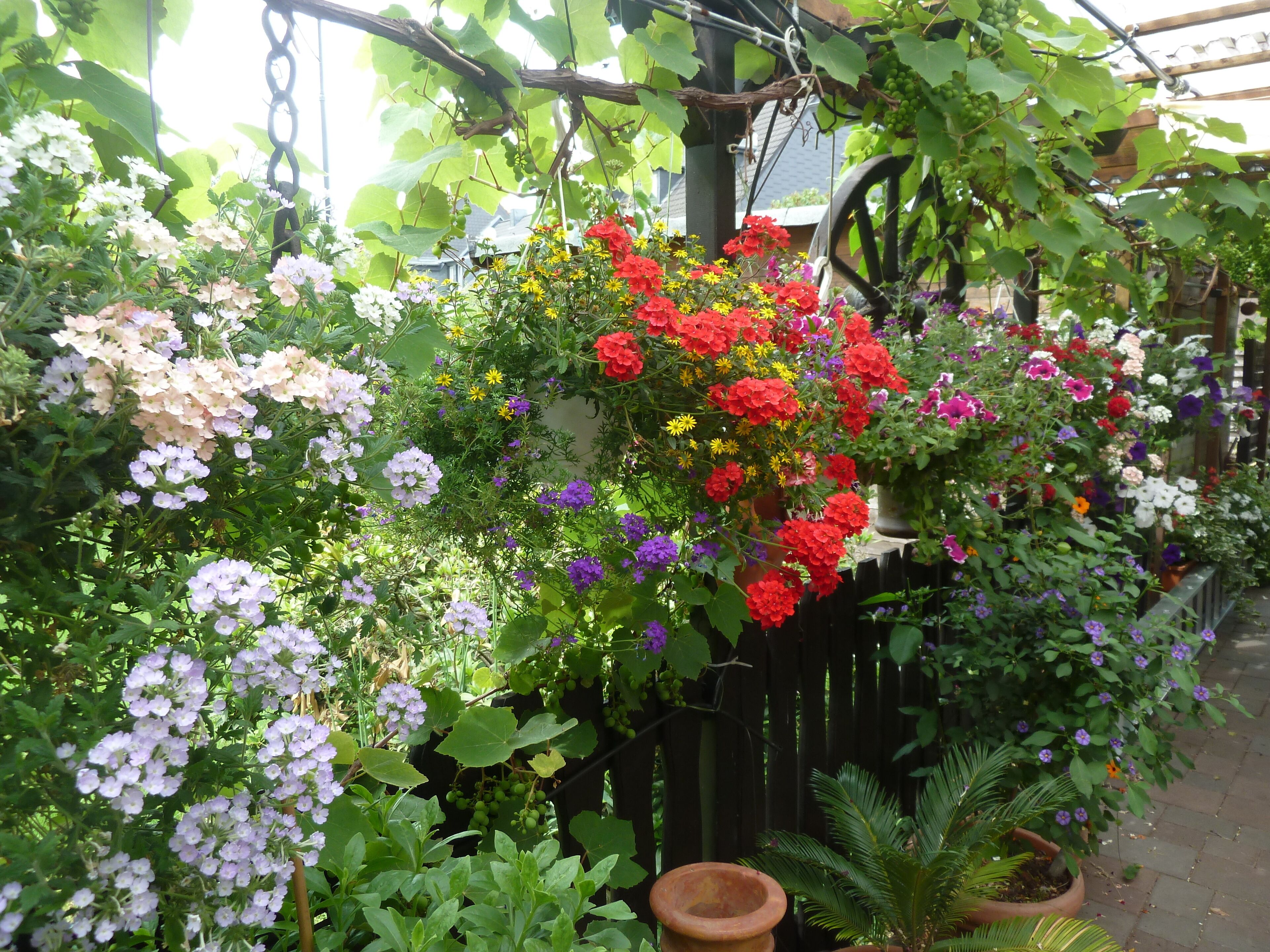 Der Sommer kann kommen