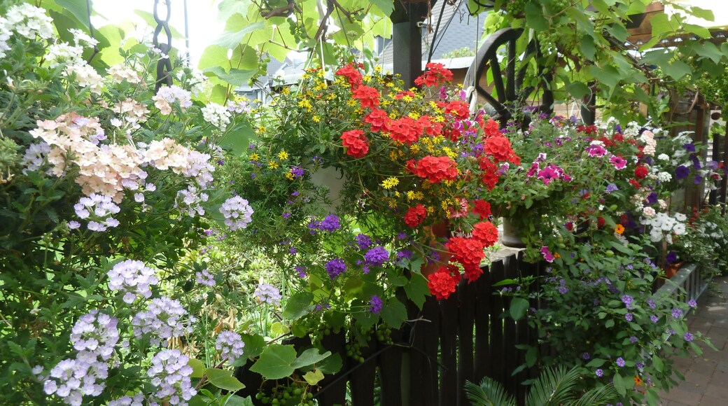 Der Sommer kann kommen