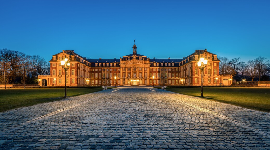 Münster Castle in the evening