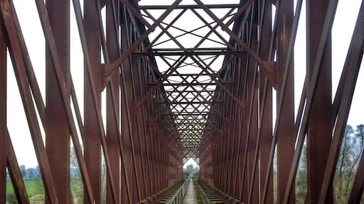 Old railbridge over the Altrhein near Kleve